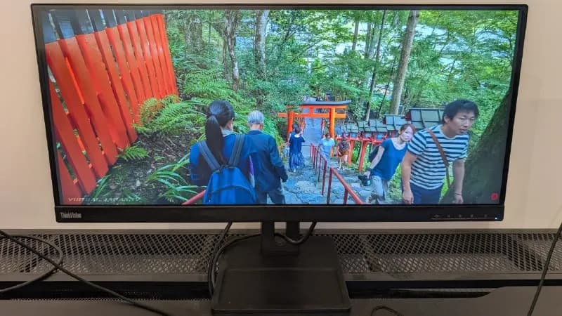 Lenovo 29» ThinkVision E29w-20 — Батуми — 490 ₾