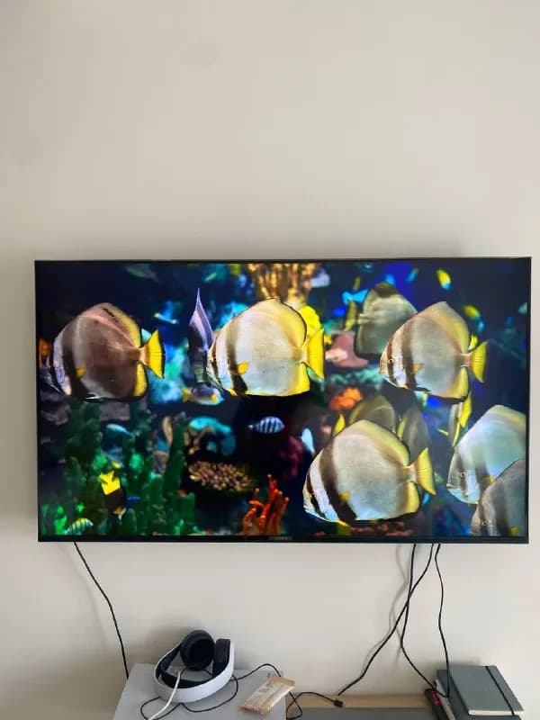 SONY — Тбилиси — 2 950 ₾
