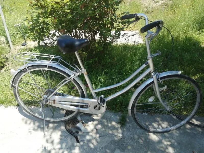 110 лари, торг — Тбилиси — 110 ₾