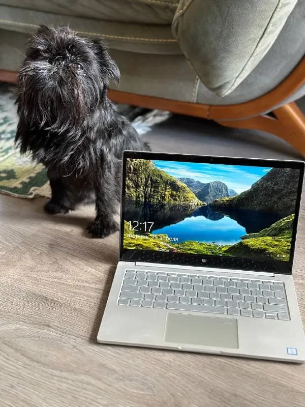 Xiaomi Mi Notebook Air 13.3 — мощный и стильный ноутбук за 1100 лари, торг уместен — Тбилиси — 1 100 ₾