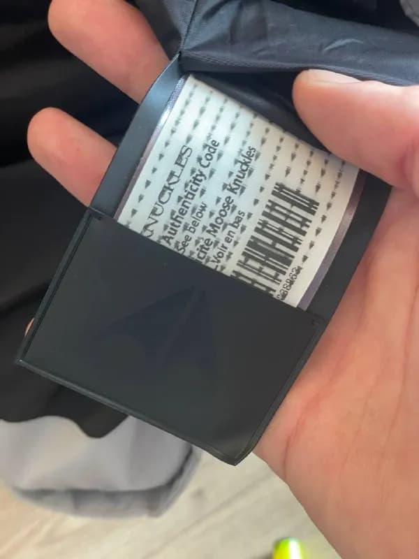 Canada moose — Тбилиси