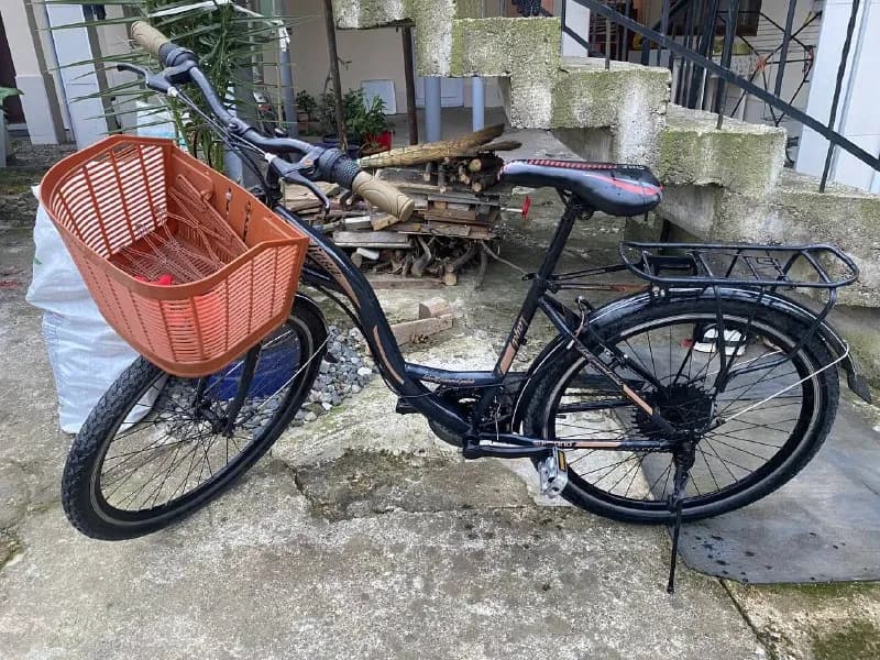 Diasa City 2.0 — Батуми — 300 ₾