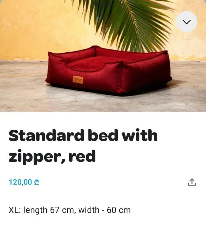 xl, в хорошем состоянии, 50 лар — Батуми — 50 ₾