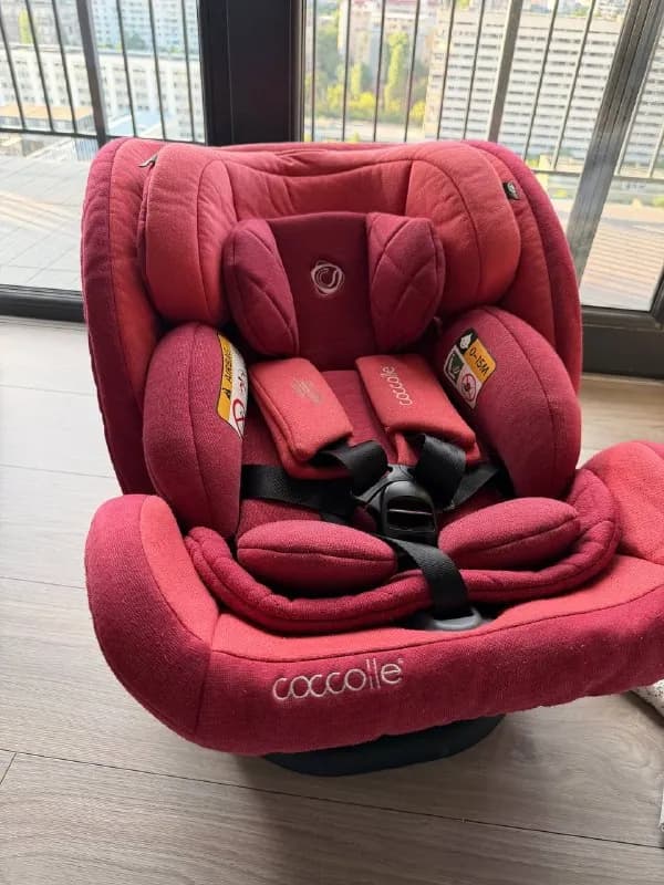 Coccolle — Тбилиси — 200 ₾