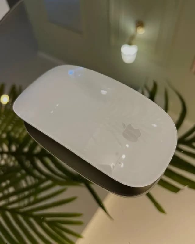 Apple Magic Mouse — Тбилиси — 140 ₾