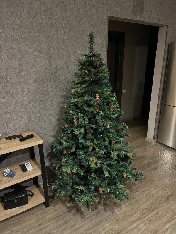 180 см — Тбилиси — 60 ₾