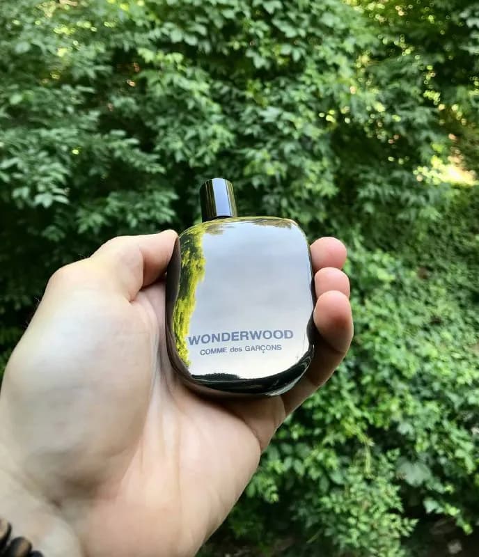Comme des Garcons — Wonderwood — Тбилиси — 220 ₾