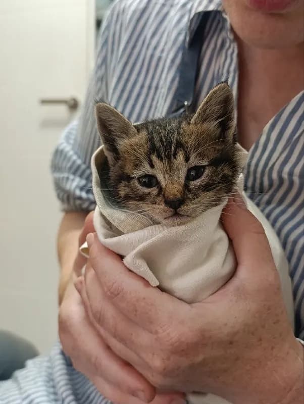 1 месяца — Батуми