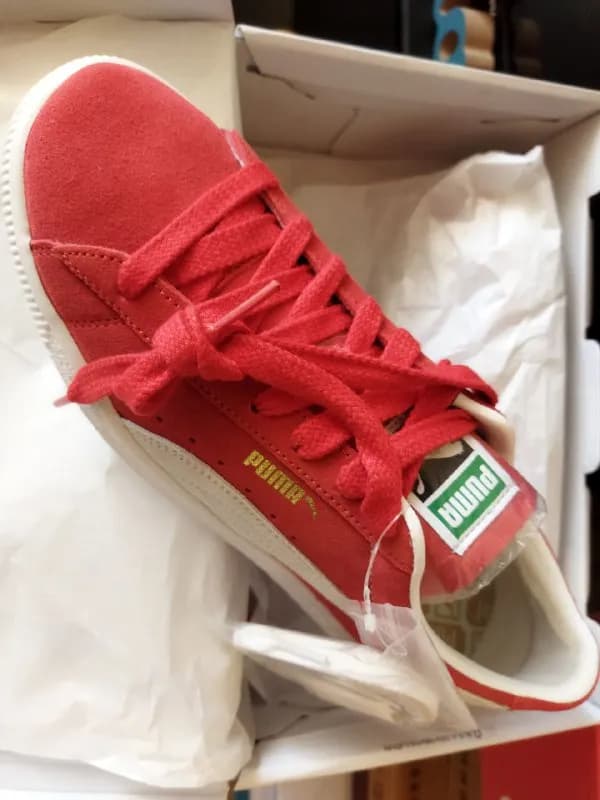 Puma, 42-43 размер. — Тбилиси — 280 ₾