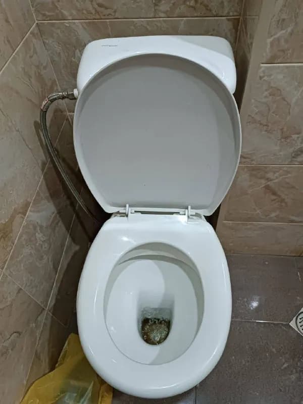 100 лар — Тбилиси — 100 ₾