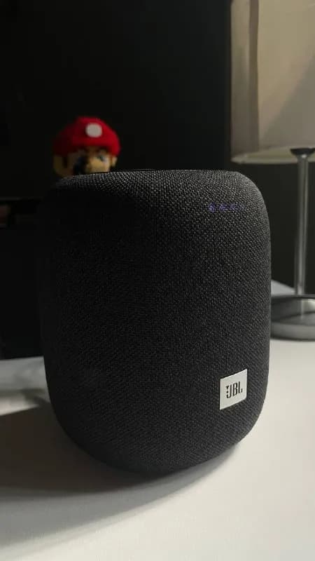 JBL Link Music с Алисой — Тбилиси — 140 ₾