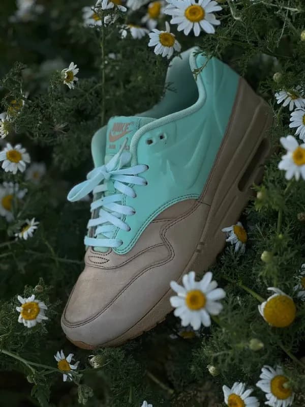 Nike WMNS Air Max 1 VT QS Vachetta Pack — Батуми — 300 ₾