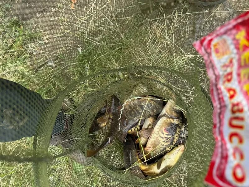 13 июня (сб) в 7:00 едем на РЫБАЛКУ в новое место 🔥🎣 — Тбилиси