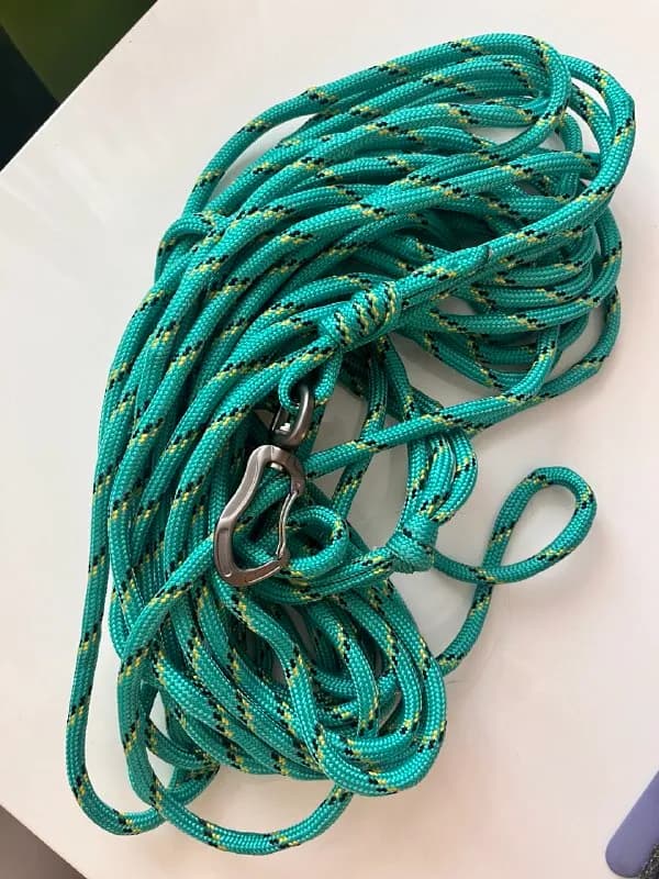State University — Тбилиси — 40 ₾
