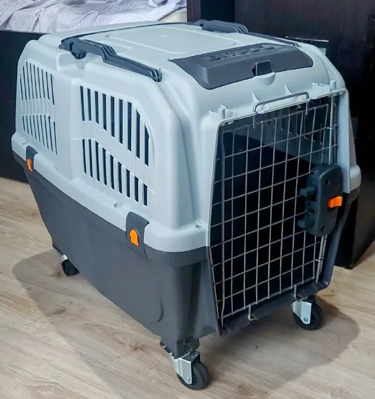 MPS Skudo IATA 4 — Тбилиси — 175 ₾