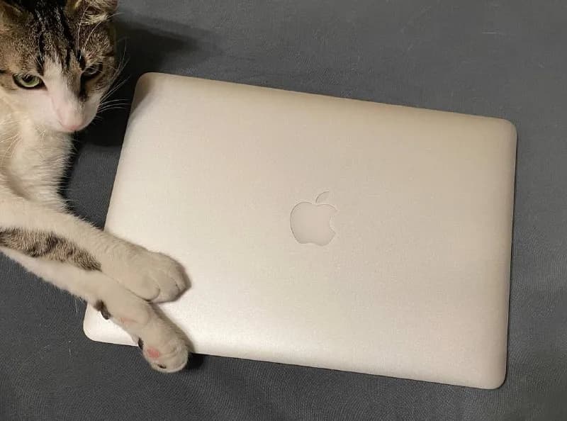 MacBook Air (13-inch, Early 2014)✨ — Тбилиси — 500 ₾