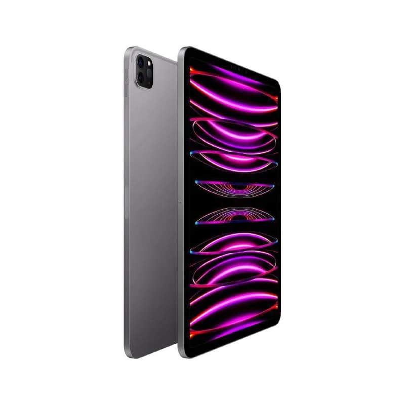 Apple Ipad Pro 11 inch (2022) — Тбилиси — 1 100 ₾