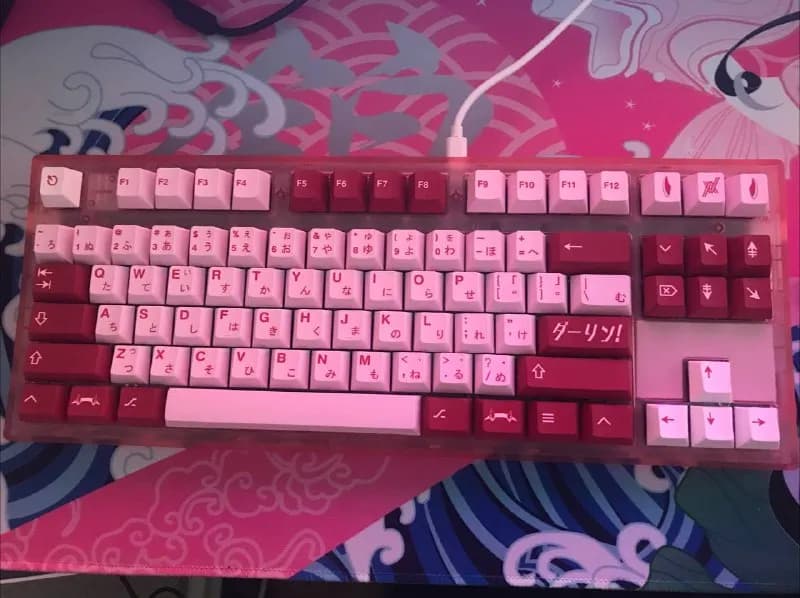 500 — Тбилиси — 500 ₾