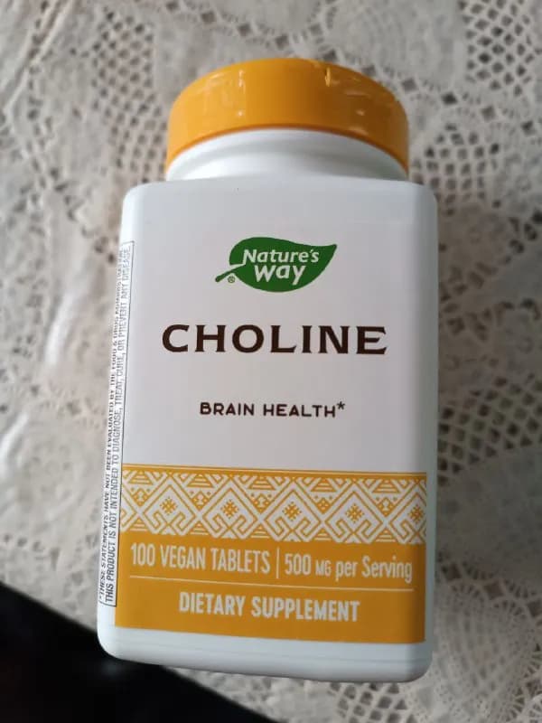Nature’s Way, Choline, 500 mg, 100 Vegan Tablets — Тбилиси — 50 ₾