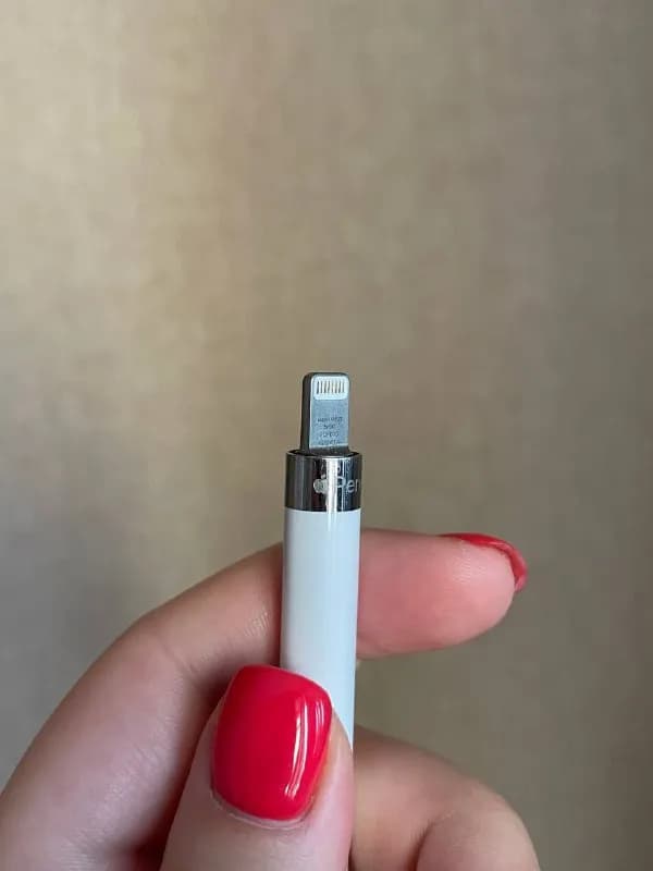 Apple Pencil — Тбилиси — 100 ₾