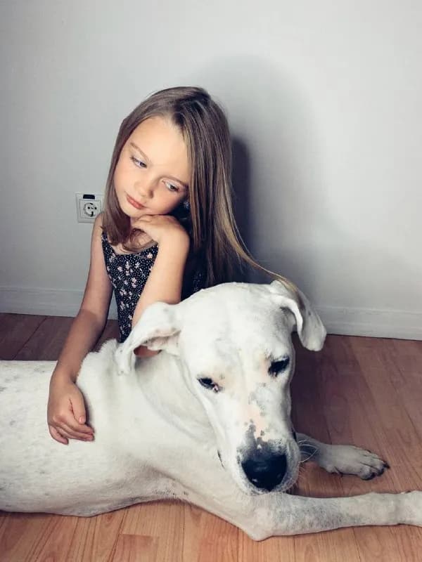 dogo argentino включена в списки агрессивных хз почему. Собака с нами проехала уже пол Мира, но к со — Тбилиси