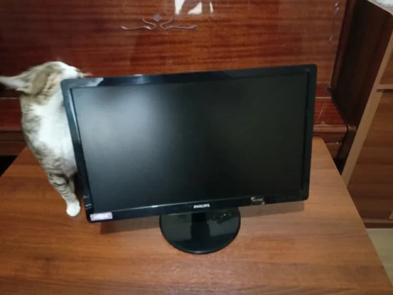 Philips — Тбилиси — 200 ₾