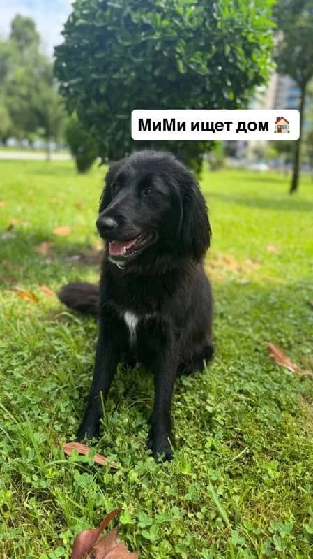 Без названия — Батуми
