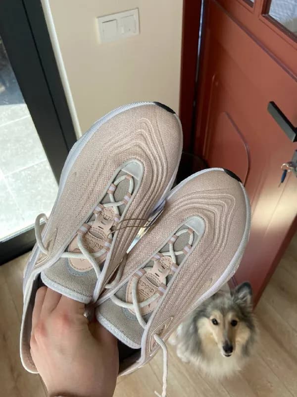 Adidas — Тбилиси — 200 ₾
