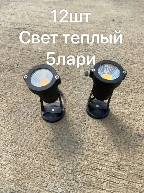 5 лари — Тбилиси — 5 ₾