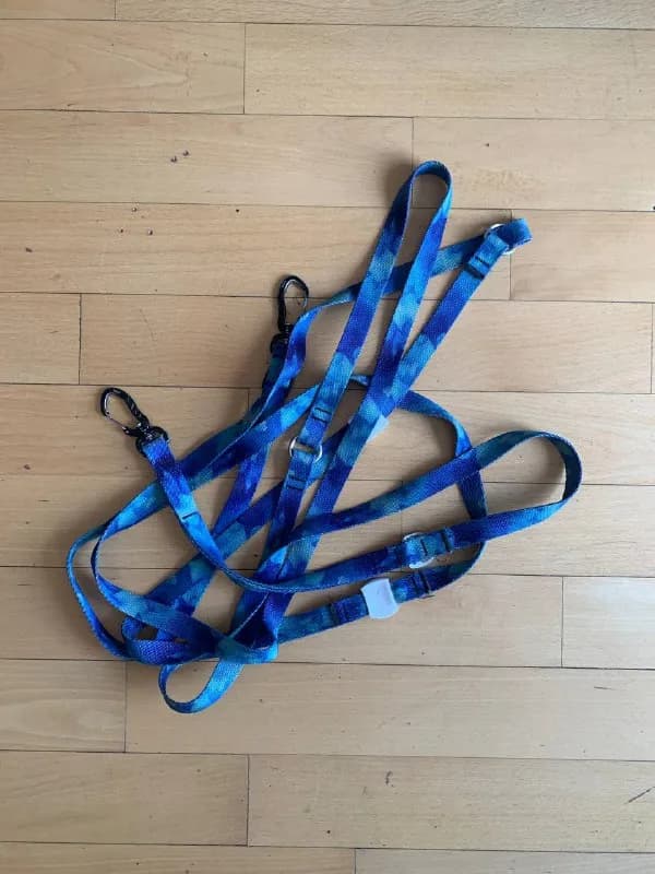 1. Поводок Staya Iced Blue — 60 лари — Тбилиси — 60 ₾