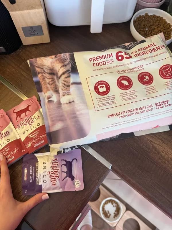 Acana Indoor людям, которые занимаются передержкой, спасением или пристройством кошек. — Батуми