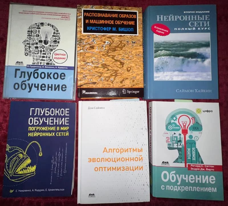 1. Николенко и др. Глубокое обучение. Погружение в мир нейронный сетей 30ლ — Тбилиси