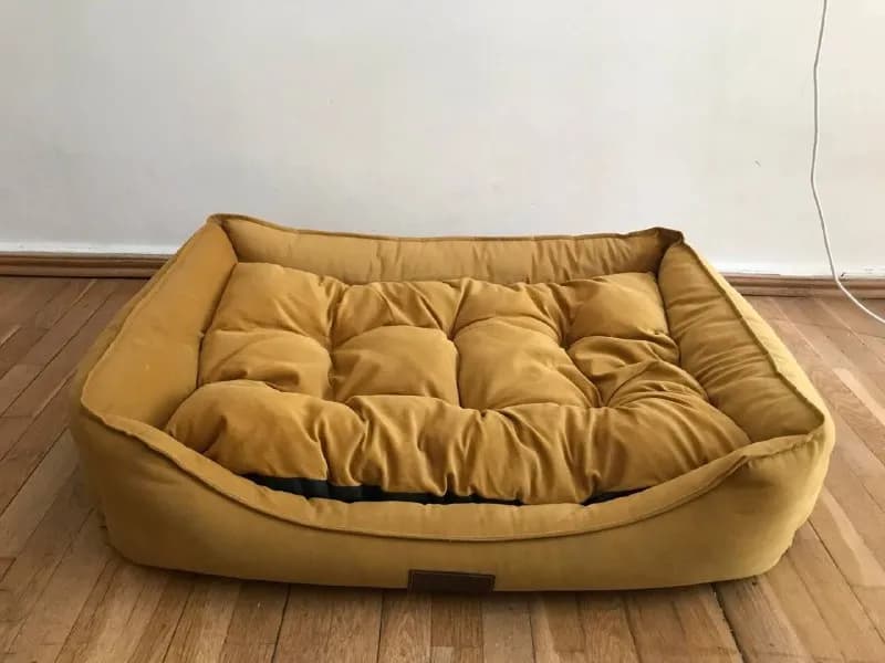 Dog Paws 60×85 см в идеальном состоянии за 80 лари. Покупала за 120. — Тбилиси — 80 ₾
