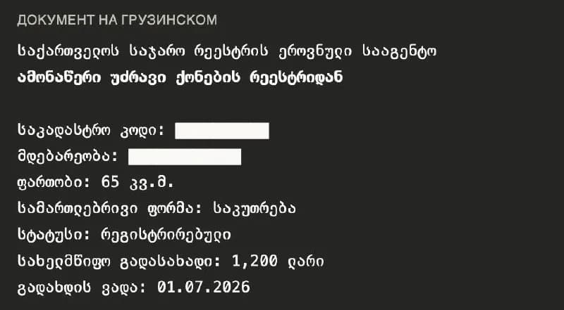 PDF или текст — получаешь разбор на русском или английском. — Батуми
