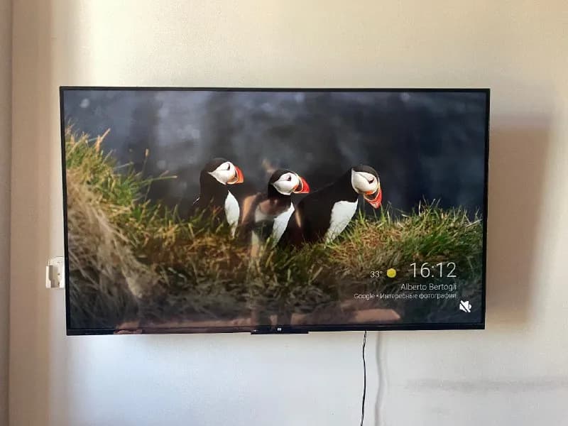 Xiaomi MI TV P1 55 — 900 лари — Тбилиси — 900 ₾