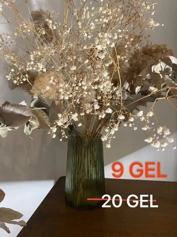 1–15 лари — Тбилиси — 15 ₾
