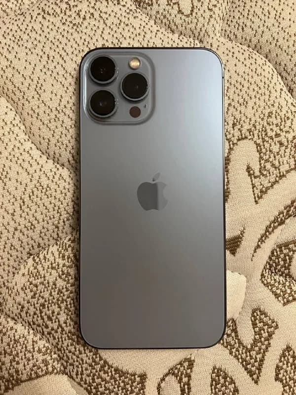 iPhone 13 Pro Max — Тбилиси — 2 500 ₾