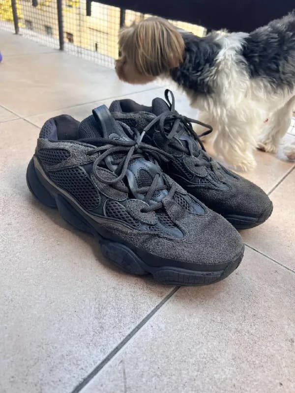 Adidas Yeezy 500 — Тбилиси — 40 250 ₾
