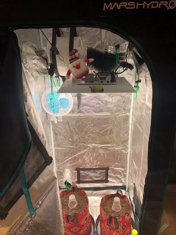 Grow Tent MARS HYDRO — Тбилиси — 2 000 ₾