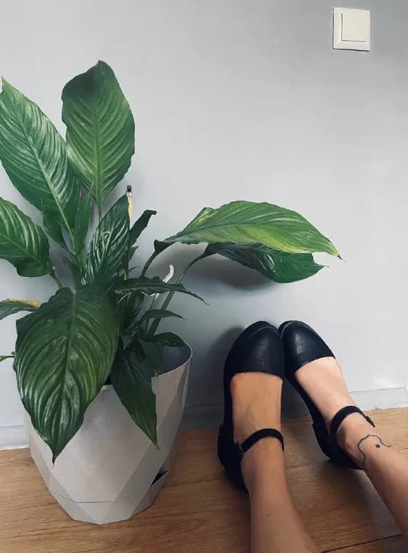 1. Туфли Мэри Джейн 39 размер, в отличном состоянии — 100 лари — Тбилиси — 100 ₾