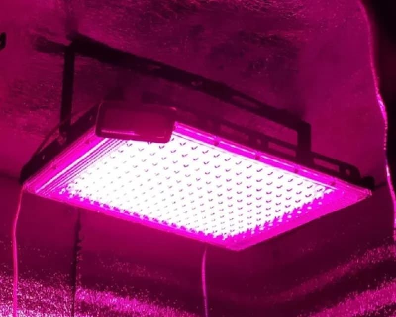 LED лампы для гроу боксов 200w и 300w.Новые.Цены от 200лари. — Тбилиси — 200 ₾