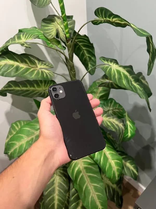 iPhone 11 64Gb — Тбилиси — 799 ₾
