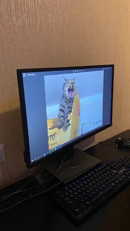 DELL P2417H — Тбилиси — 350 ₾