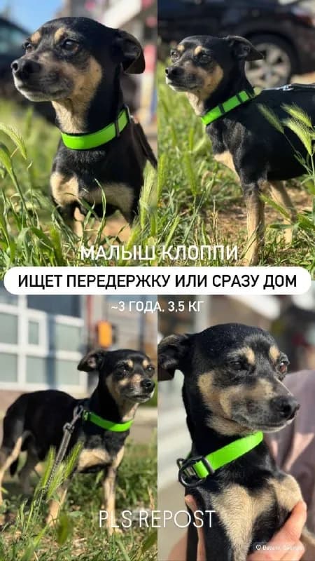 5 лет точно. — Батуми