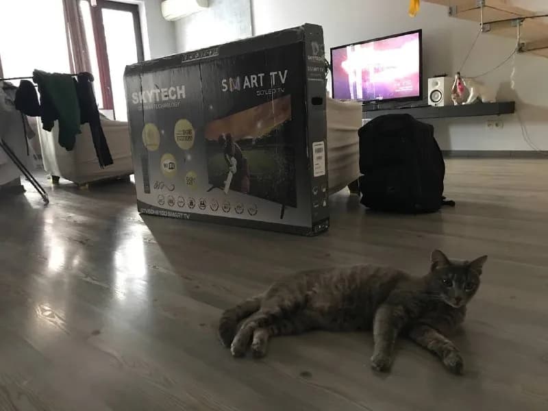 SKYTECH STV50H8100 SMART TV — Тбилиси