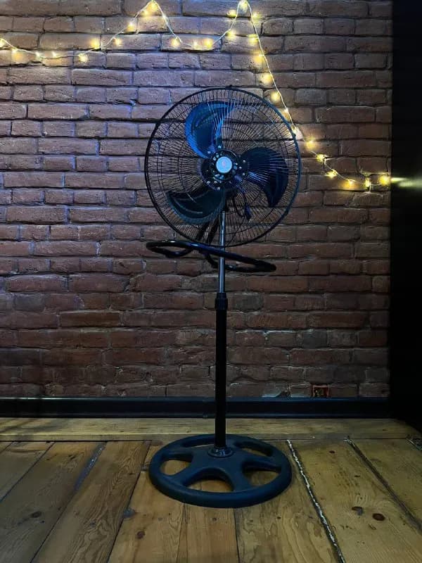 100w — Тбилиси — 50 ₾