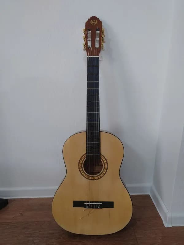 Yamaha CS40 с новыми струнами за 300 лари, а также классическую, но практически ноунейм (покупали зд — Тбилиси — 300 ₾