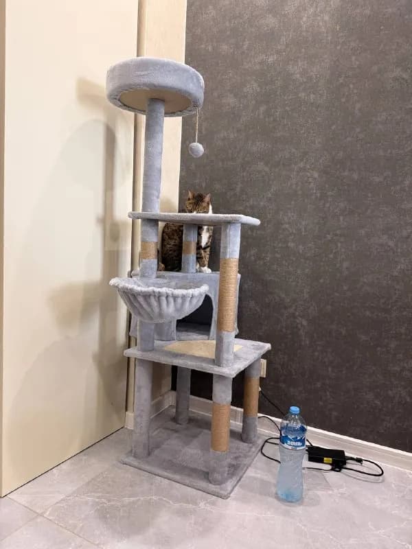 160 см, новый. Не подходит в связи с весом нашего кота😂 купила за 320 отдам за 210 — Батуми