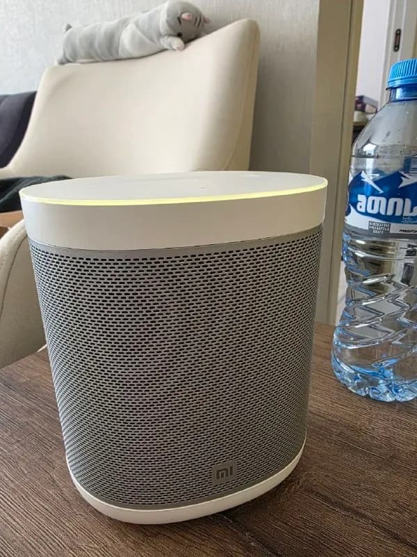 Xiaomi Mi Smart Speaker (русская версия) — Тбилиси — 80 ₾