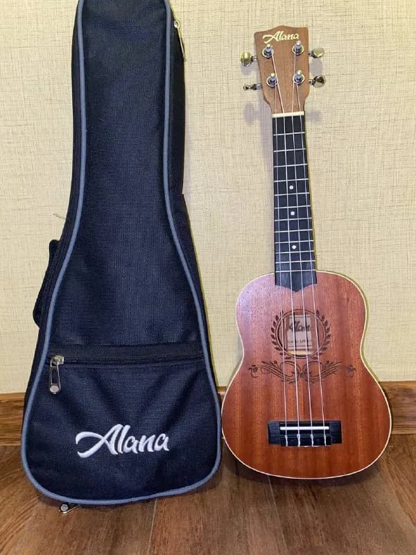 Alana в хорошем состоянии, чехол, тюнер. 100 лари — Тбилиси — 100 ₾